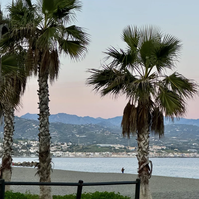 inmobiliaria en torre del mar, te ayudamos a vender casa en malaga y vender casa en malaga este